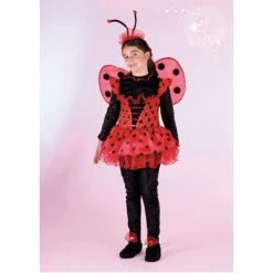 CARNEVALE Costume Coccinella 9/10 Anni